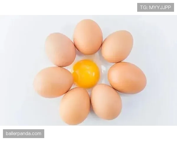 比赛规则全面拆解：关键条款与常见误区一次看懂