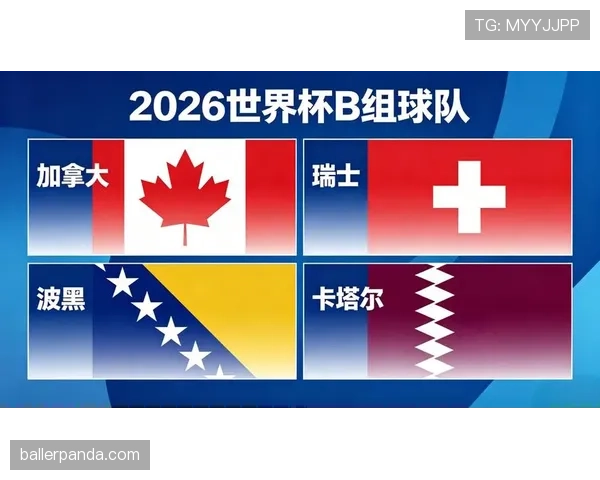 世界杯B组瑞士冲击八强机会曝光